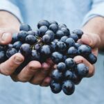 A16 – The Fruitful Christian