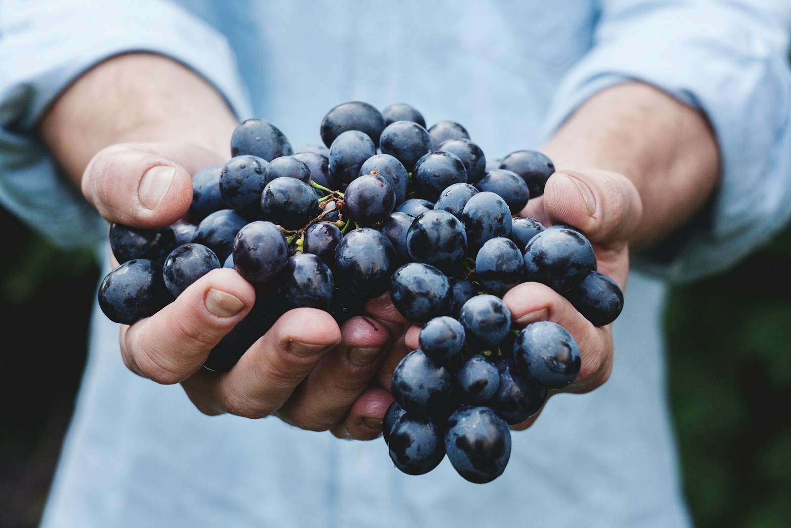 A16 – The Fruitful Christian