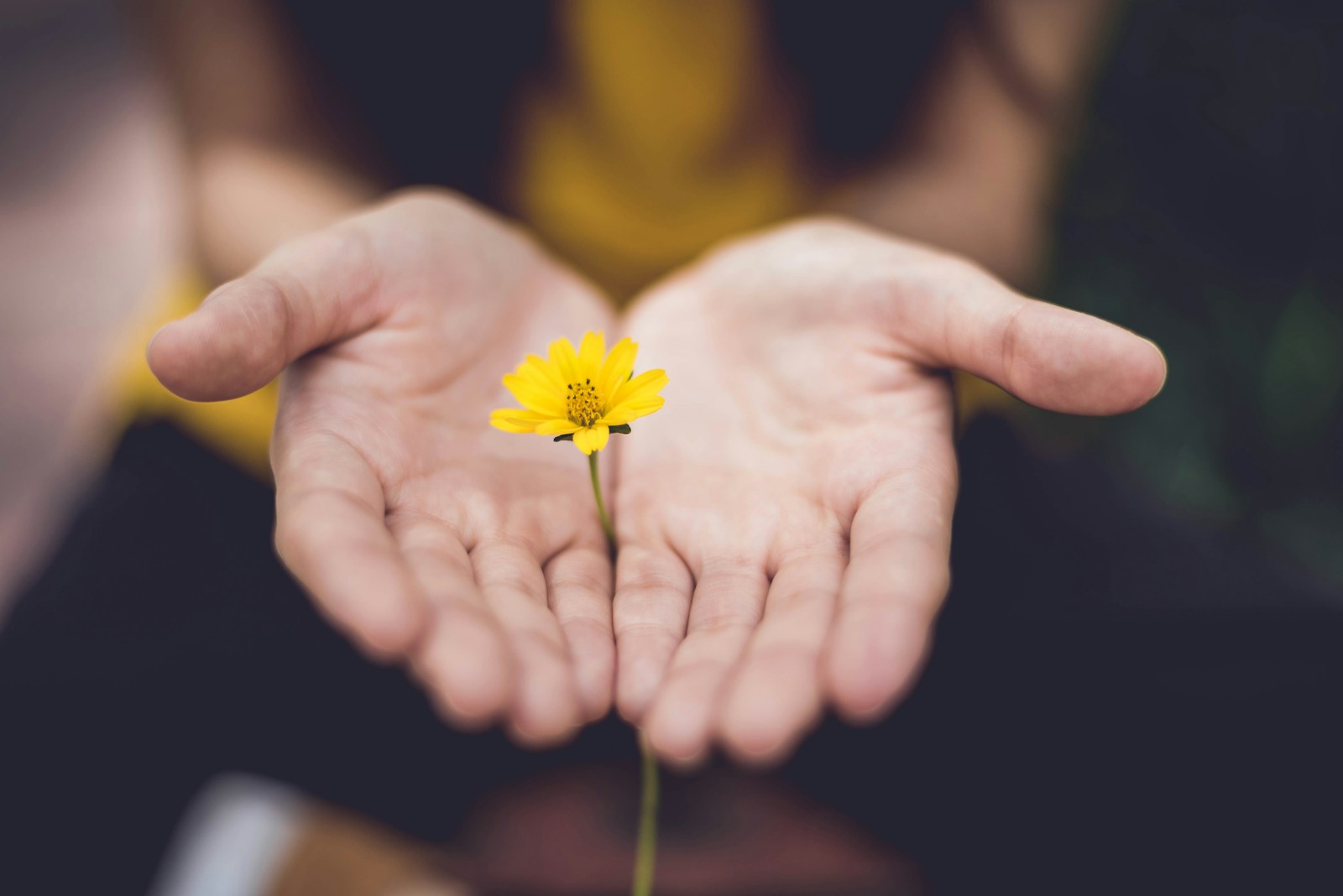 The Transforming Power of Forgiveness