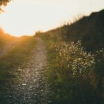 Volgeling van Jezus – Heart Cry Conferentie