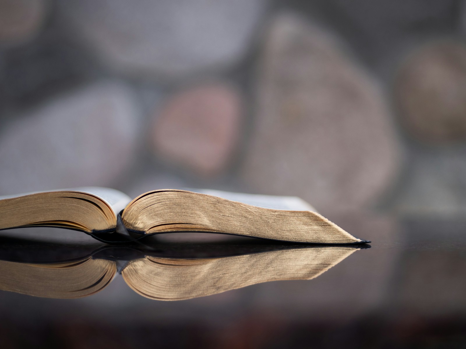 Devotional Booklet: 10 days with the 10 ‘I Am’ s in John’s gospel