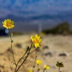 Be a Blessing – 3 John