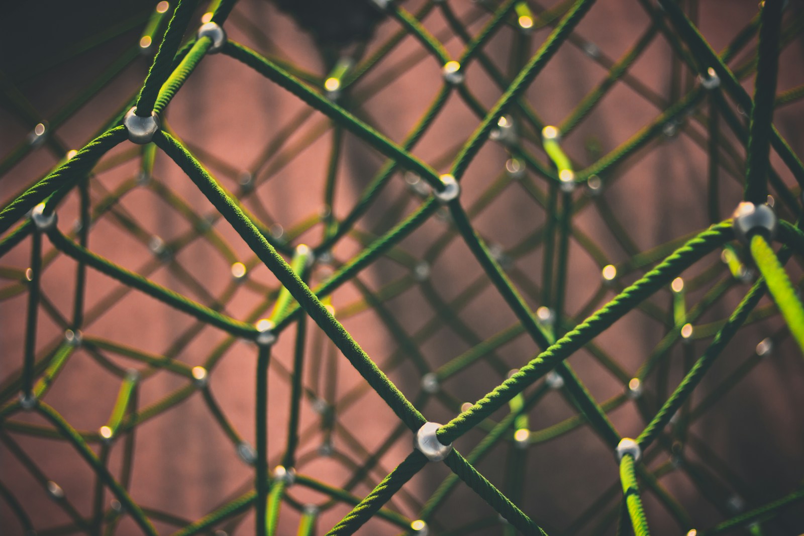 A40 – Organic Networking