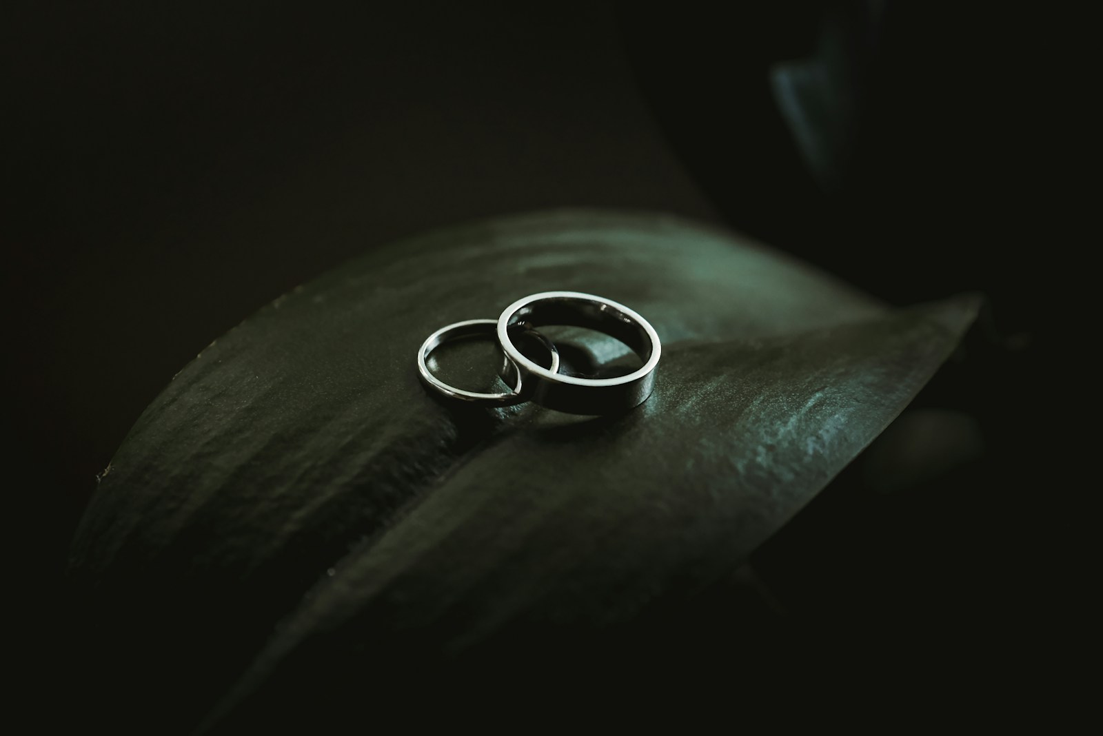 El matrimonio homosexual