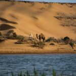 Abraham’s tent, altars and wells