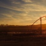 a street light in a field with the sun setting in the background